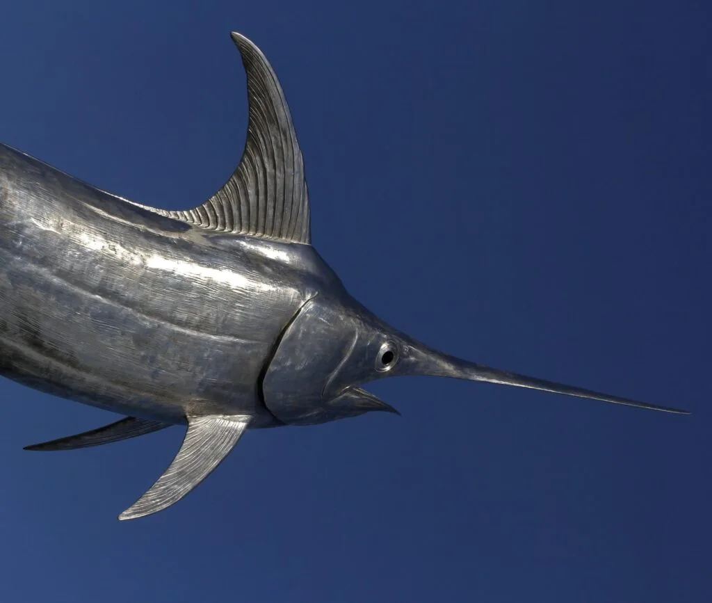 Swordfish swimming against a blue background, highlighting its sleek body, related to West Palm Beach fishing charters.